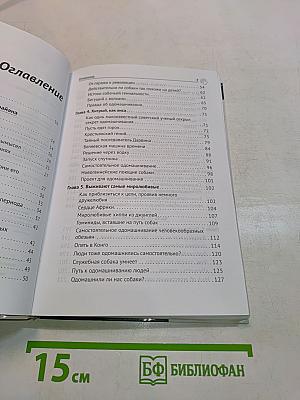 Почему собаки гораздо умнее, чем вы думаете