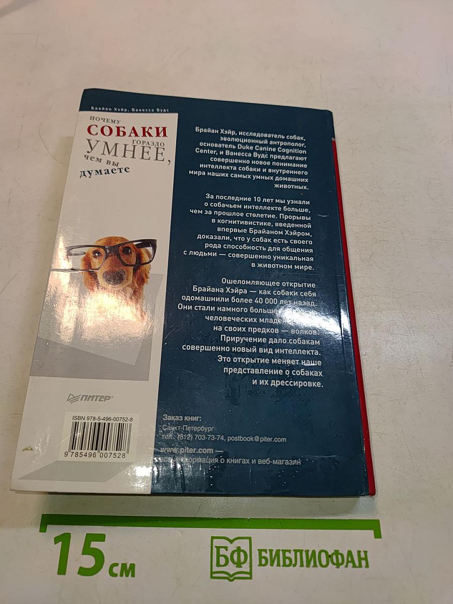 Почему собаки гораздо умнее, чем вы думаете