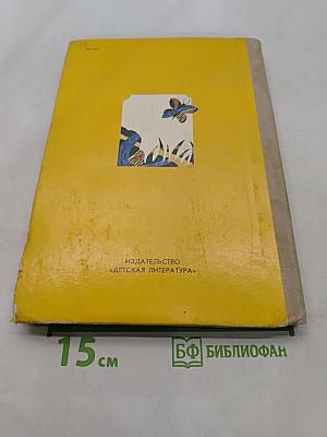 След колесницы