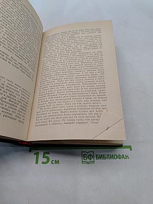 Дожить до рассвета