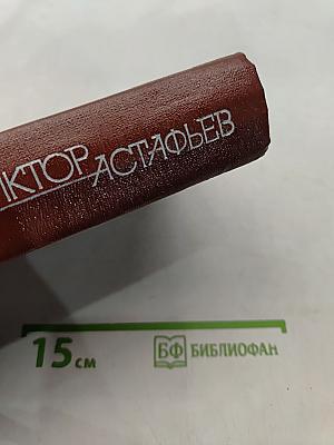 Последний поклон. Том 3