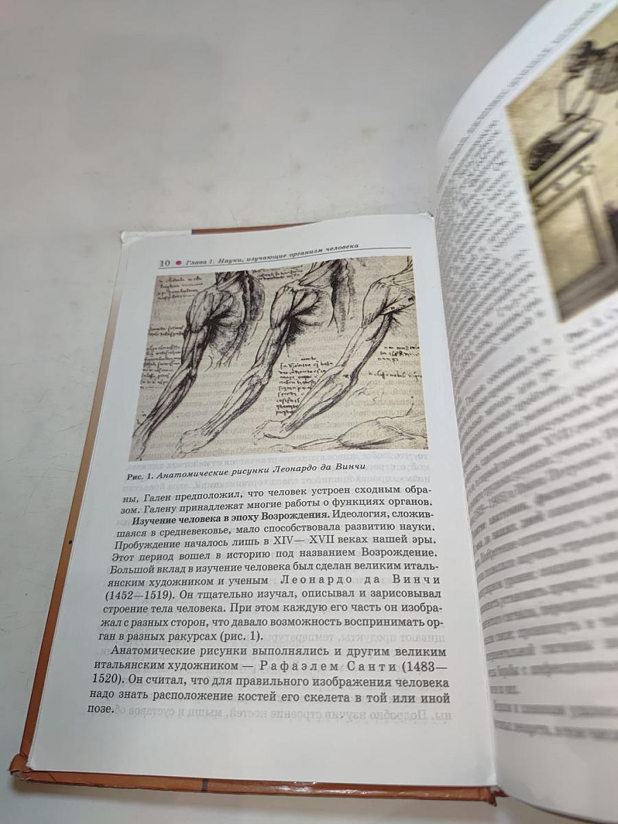 Биология. Человек. 8 класс