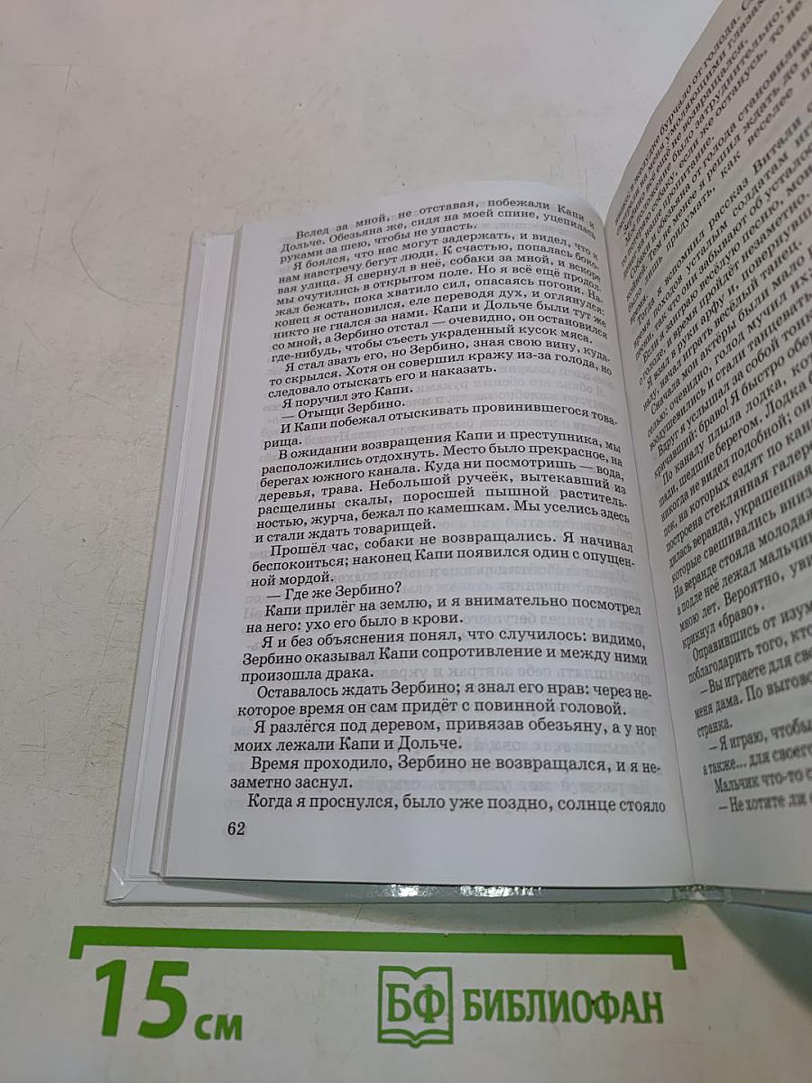 Без семьи