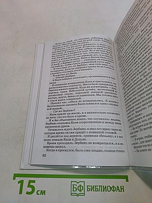 Без семьи