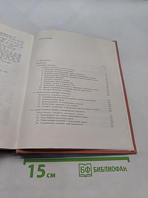 Человек в научной картине мира