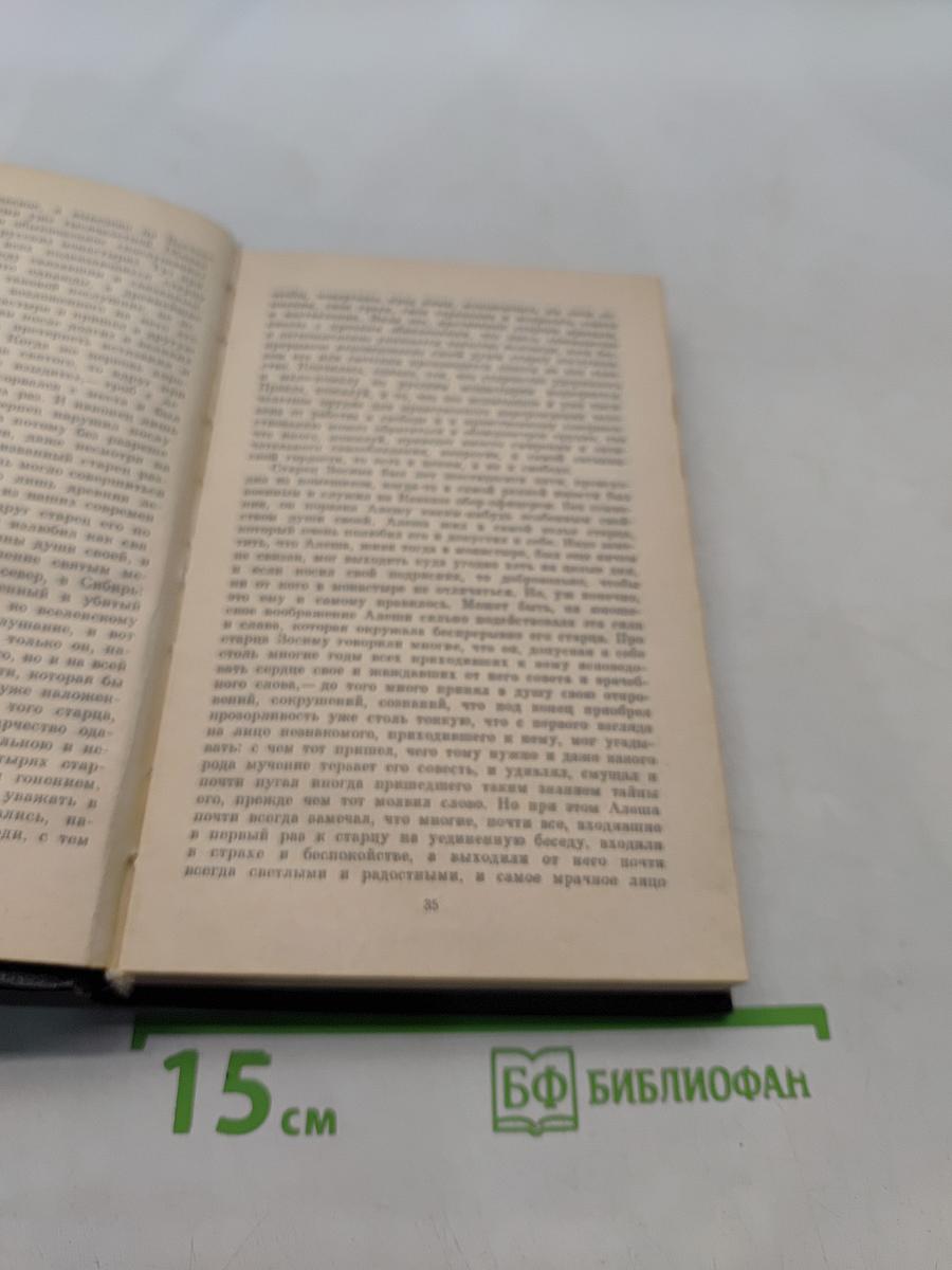 Братья Карамазовы. Часть 1 и 2