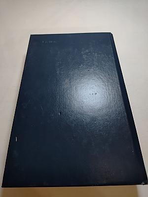 Андрей Платонов. Государственный житель. Проза. Ранние сочинения. Письма