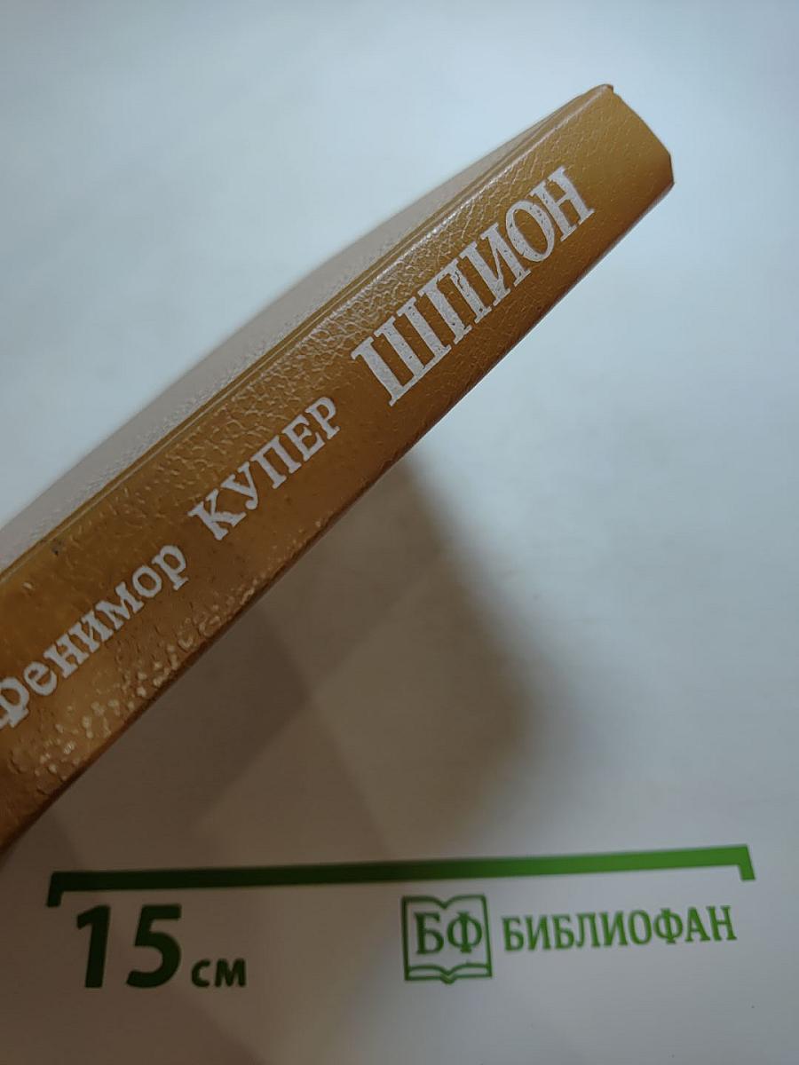 Шпион, или Повесть о нейтральной территории