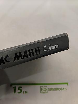 Томас Манн. Жизнь замечательных людей