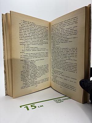 Беглые в Новороссии. Воля. Княжна Тараканова