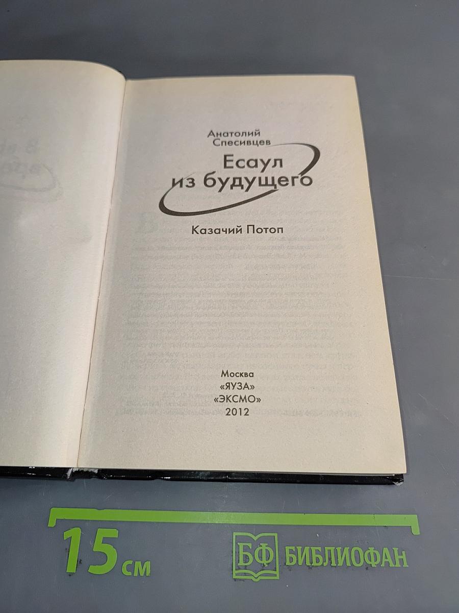 Есаул из будущего. Казачий Потоп