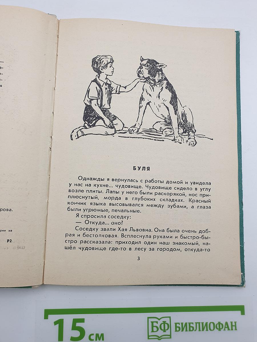 Пять моих собак