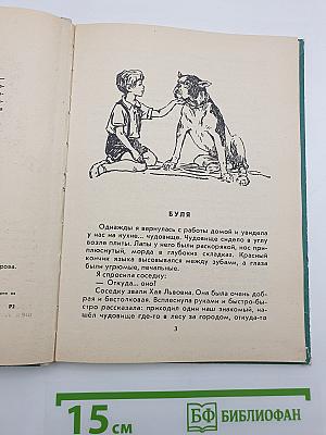 Пять моих собак
