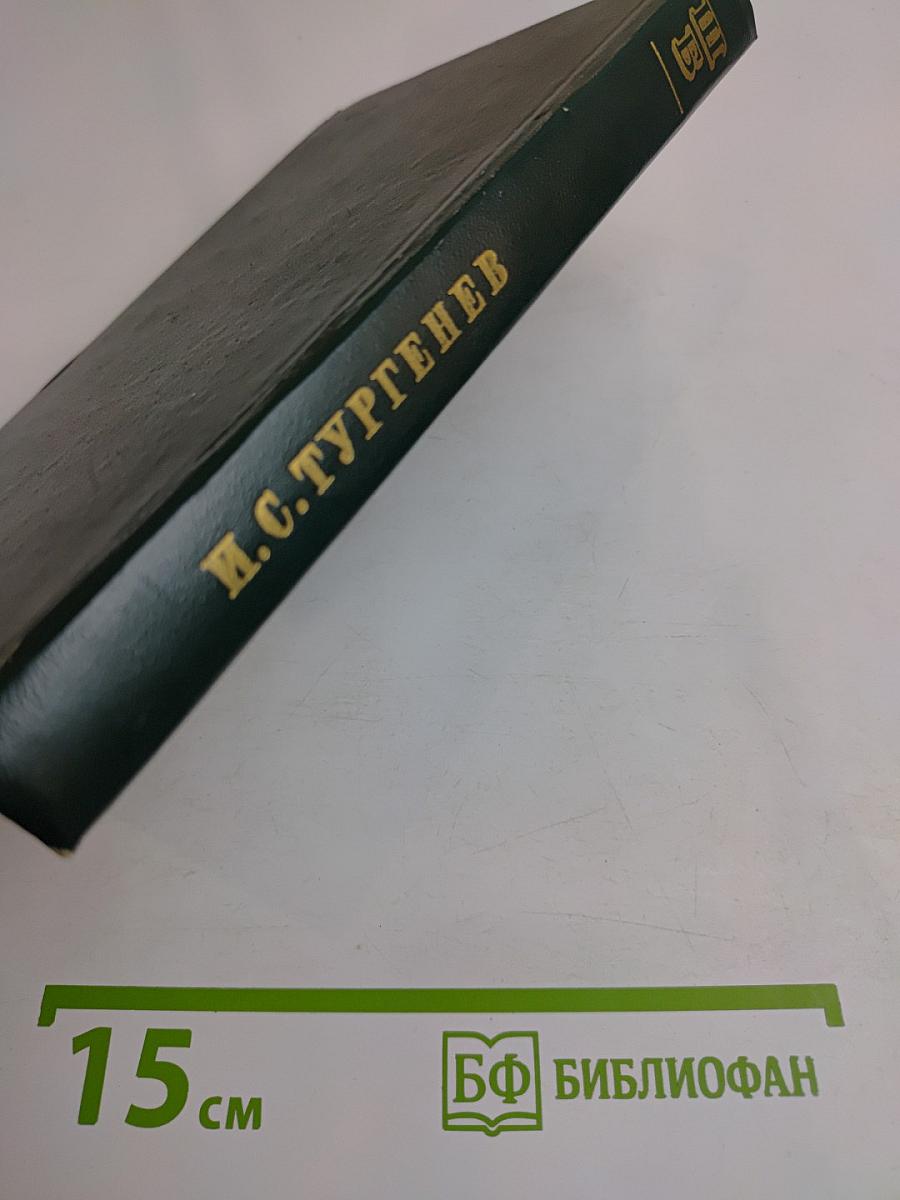 Рудин. Дворянское гнездо