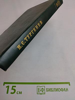 Рудин. Дворянское гнездо