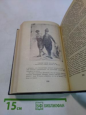 Великий Моурави. Книга шестая. Город мелодичных колольщиков