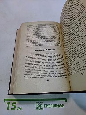 Великий Моурави. Книга шестая. Город мелодичных колольщиков