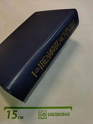 Великий Моурави. Книга шестая. Город мелодичных колольщиков