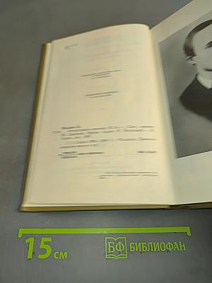 Литературная критика. Том второй. Статьи 1864-1865 гг.