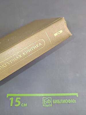 Литературная критика. Том второй. Статьи 1864-1865 гг.