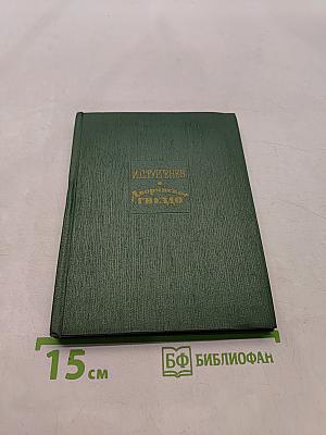 Дворянское гнездо