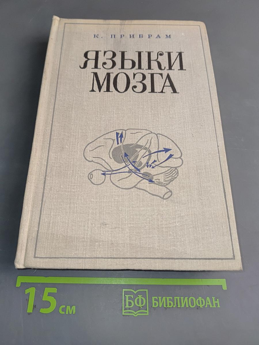 Языки мозга