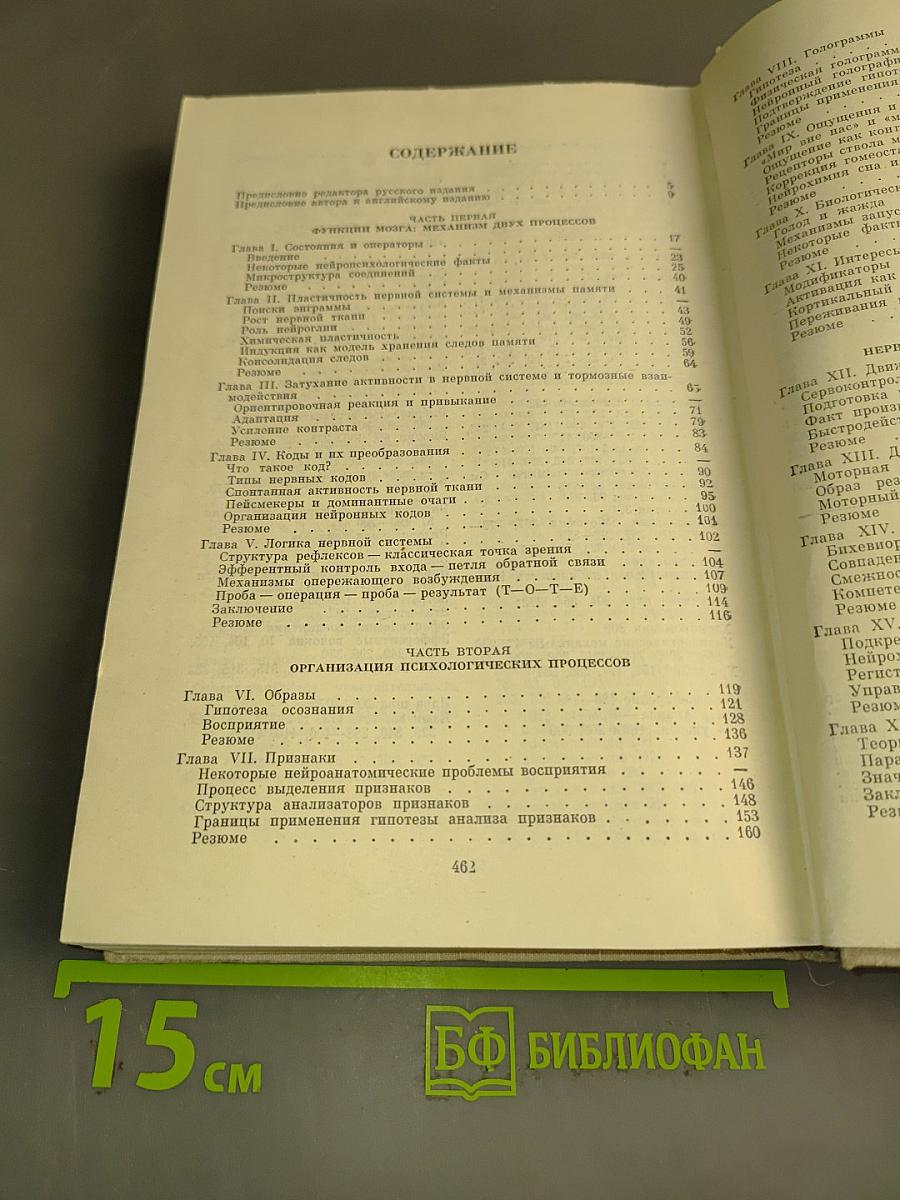 Языки мозга