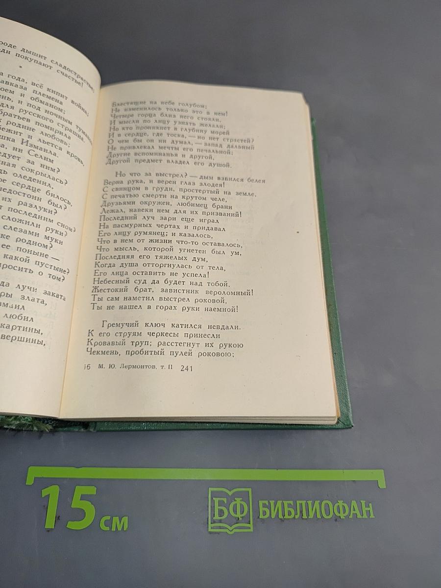 Стихотворения и поэмы. Том второй