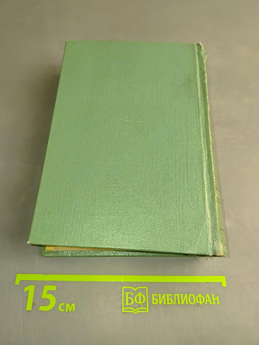 Стихотворения и поэмы. Том второй