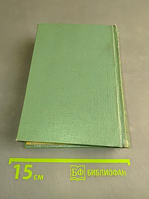 Стихотворения и поэмы. Том второй
