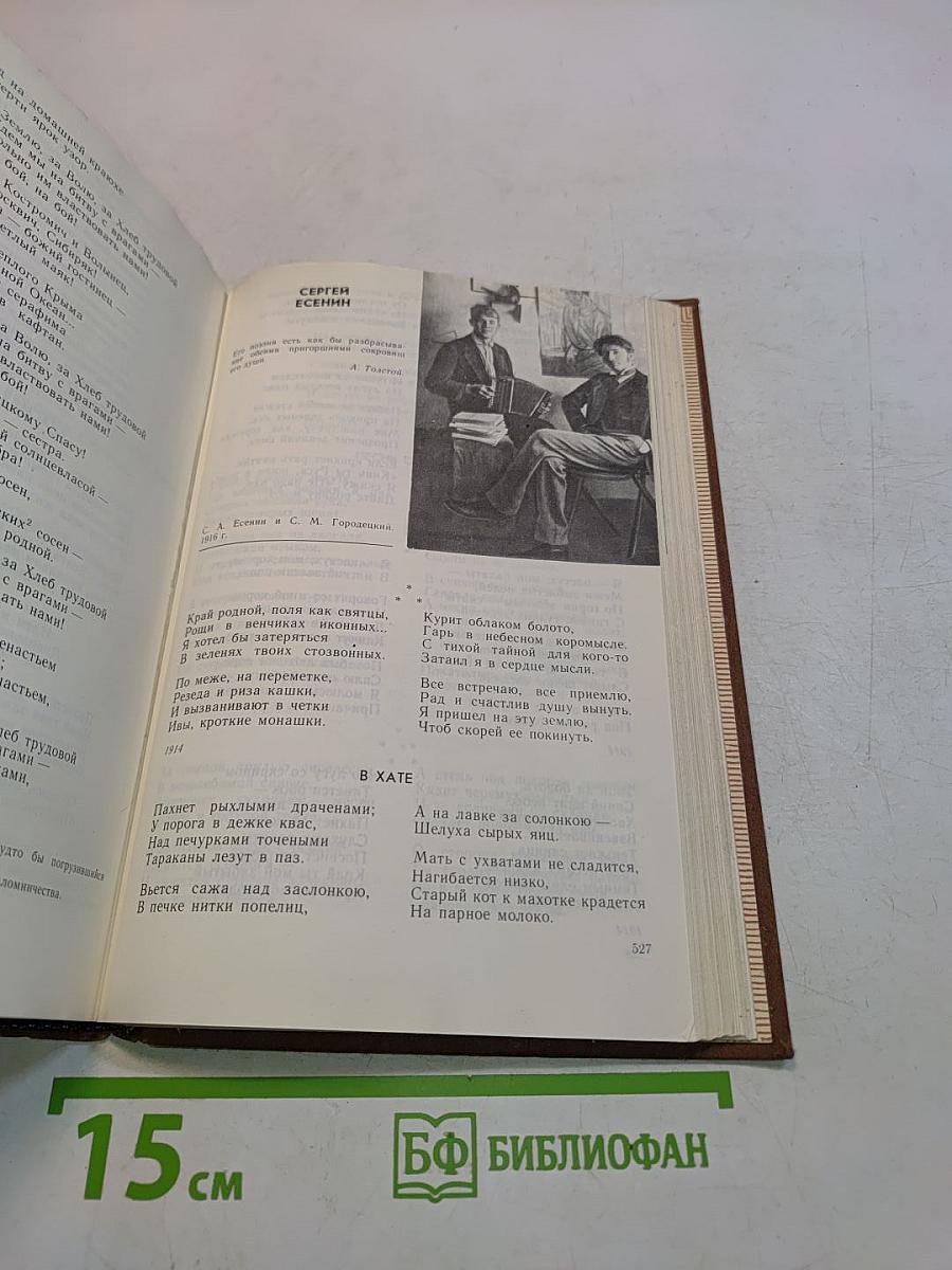 Русская литература XX века. Дооктябрьский период. Хрестоматия