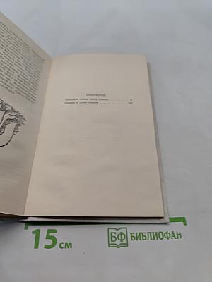 Последняя любовь поэта