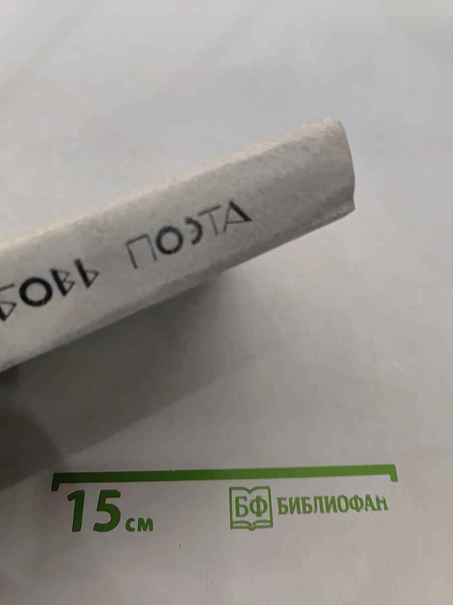 Последняя любовь поэта