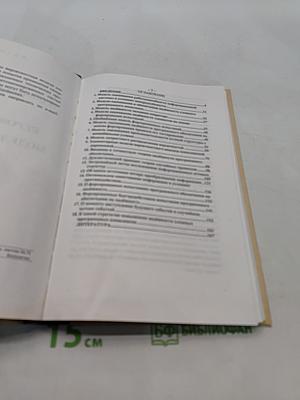 Техническая синергетика. Вероятностные модели сложных систем
