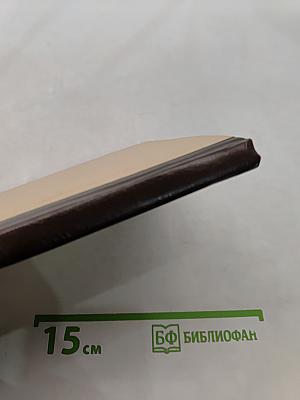 Техническая синергетика. Вероятностные модели сложных систем