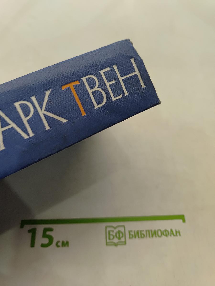 Собрание сочинений. Том пятый. Пешком по Европе. Принц и нищий