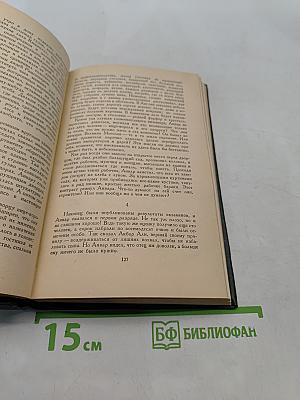 Сын Индии