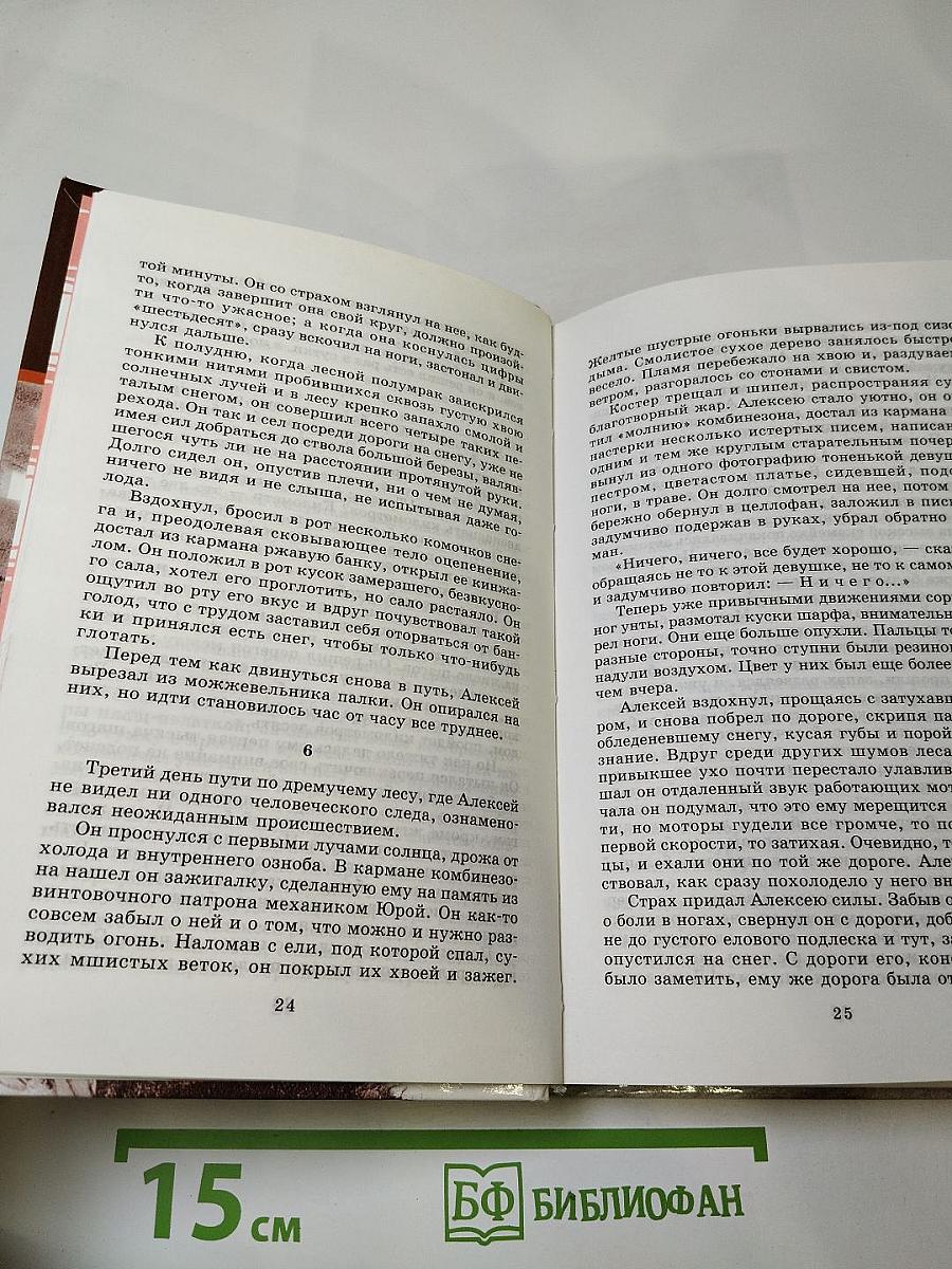 Повесть о настоящем человеке