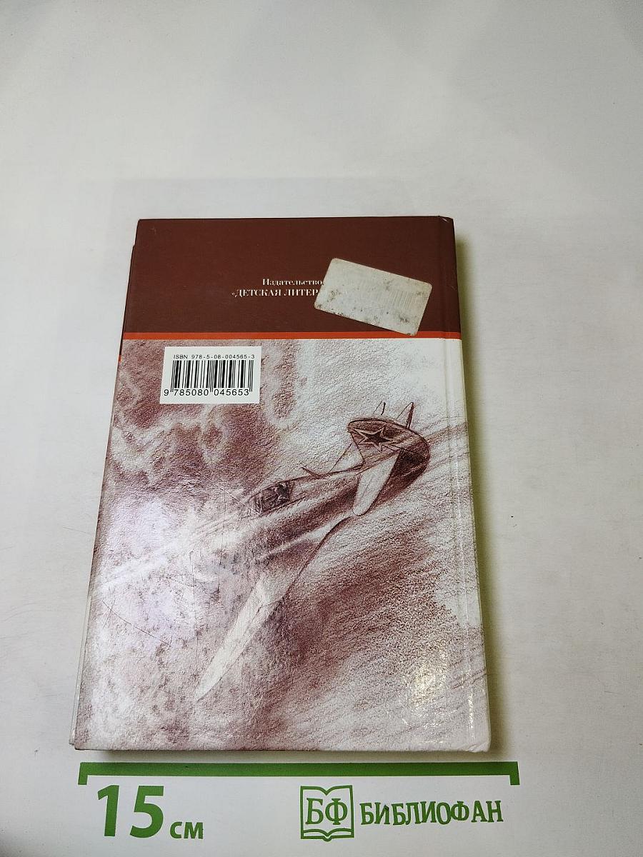 Повесть о настоящем человеке