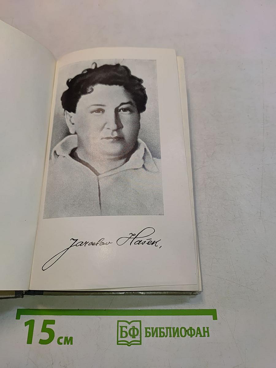 Гашек. Документальное повествование