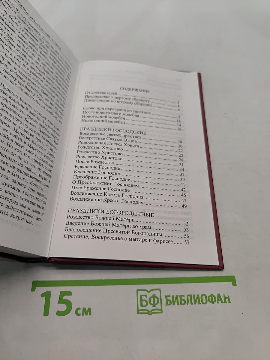 Во имя Отца и Сына и Святого Духа. Проповеди