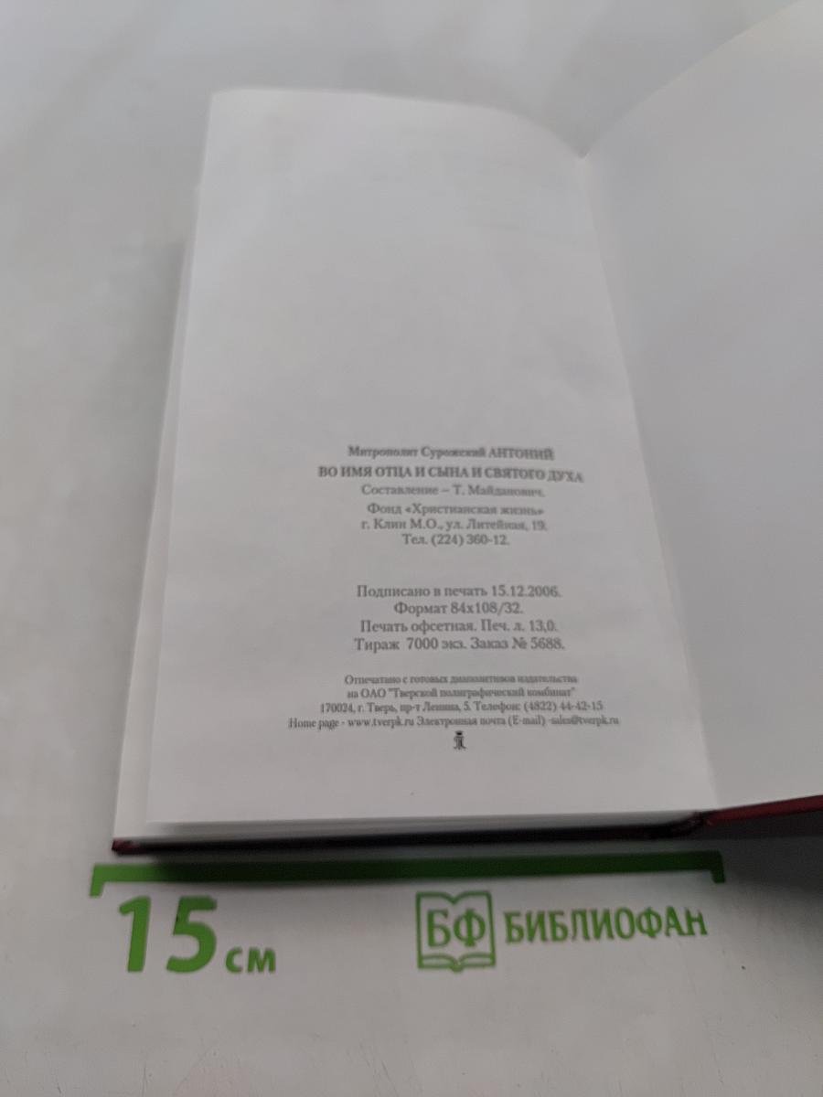 Во имя Отца и Сына и Святого Духа. Проповеди