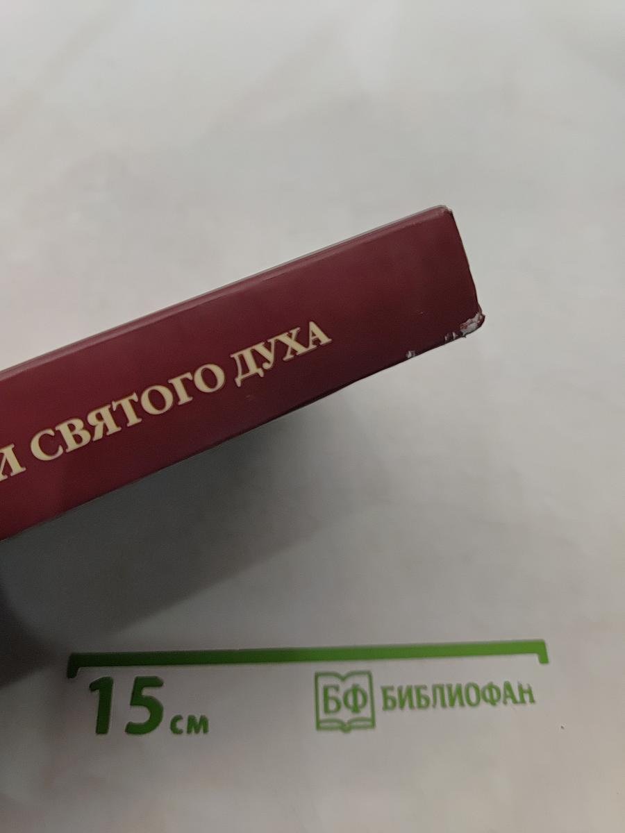 Во имя Отца и Сына и Святого Духа. Проповеди