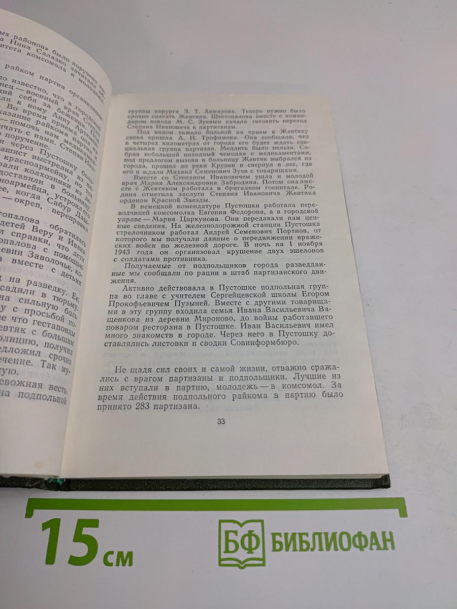 Псковщина партизанская