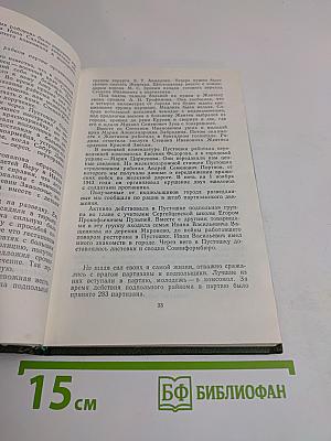 Псковщина партизанская