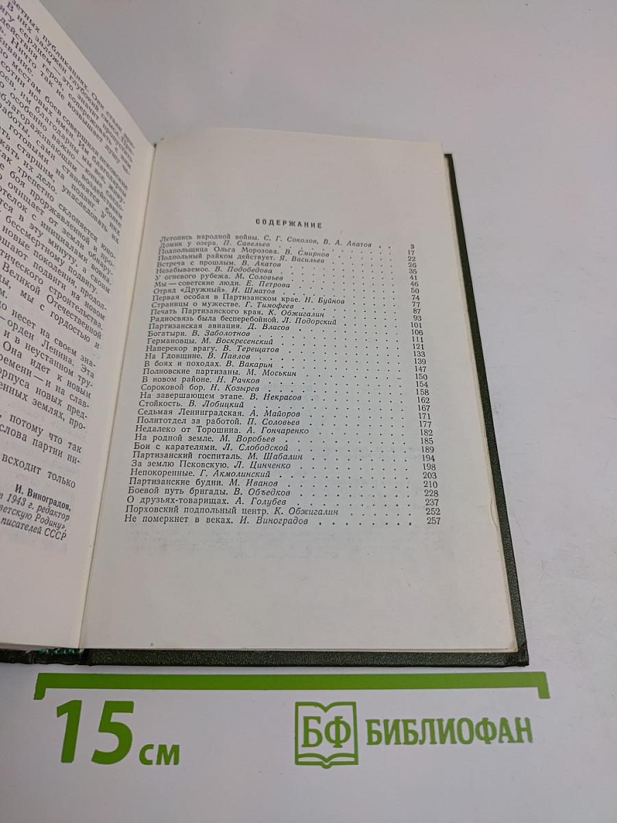 Псковщина партизанская