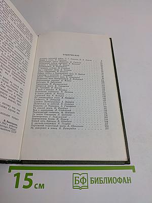 Псковщина партизанская