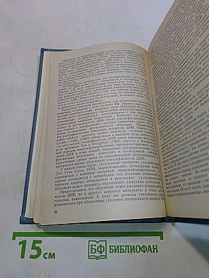 Иммунология и болезни кожи