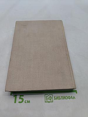 Мир Игоревой песни. Этюды