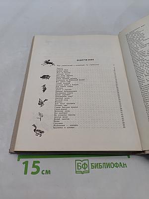 Цветной венок